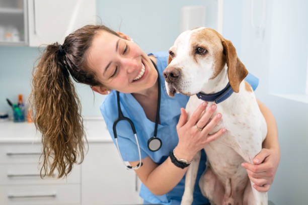 Pet Nutrition Myths vs Facts Every Owner Should Know