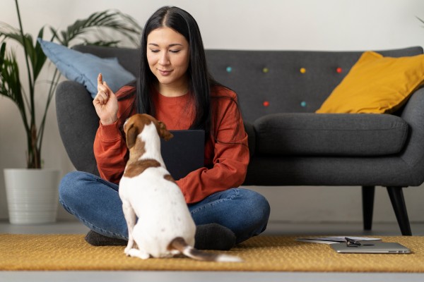How to Manage Pet Anxiety at Home