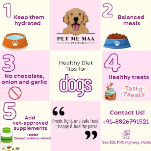 Pet Daycare in Noida – Pet Me Maa