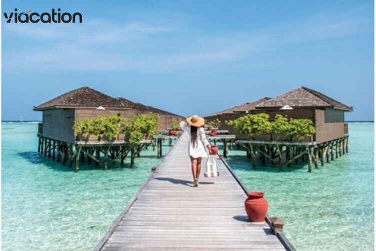 Exploring the Natural Beauty of the Maldives