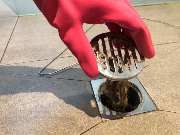 Signs Your Home Needs Drain Cleaning Before Emergency