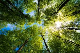 Practical Habits That Make a Lasting Difference