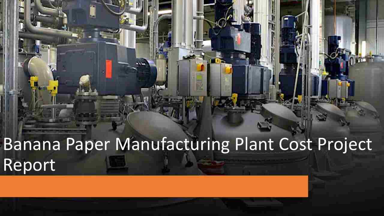 Banana Paper Plant Cost Project Report | IMARC Group