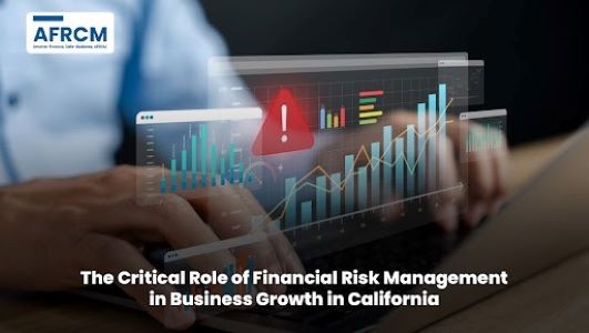 Financial Risk Management in Business Growth