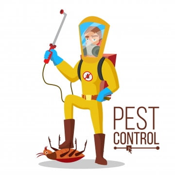 Why Household Pests Are More Dangerous