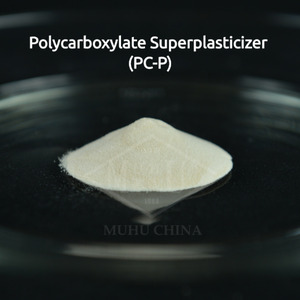 n pcp p 2 1