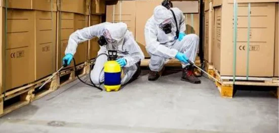 Trusted Pest Control Mississauga Services for a Home