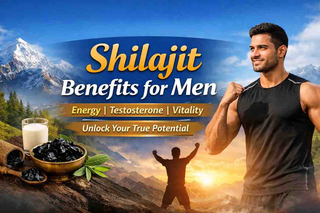 Shilajit Benefits for Men: A Complete Guide to Energy
