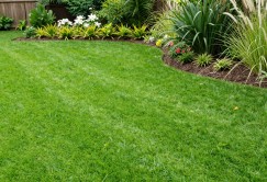 9 Eco Friendly Benefits of Turf for Garden Landscapes