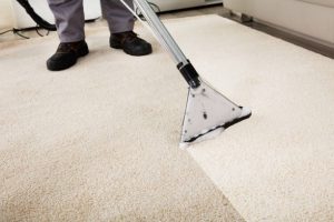 Eco Oriental Area Rugs Cleaning Wembley Green Certified