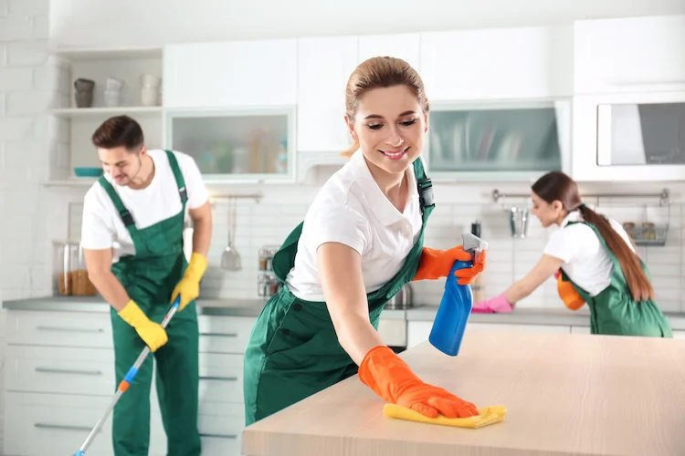 Eco Friendly Commercial Kitchen Sanitation Services