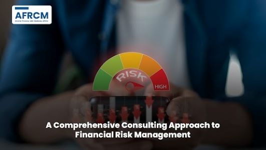 Financial Risk Management