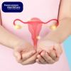 Best Ovarian Cancer Doctors in India