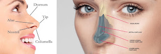 Non-Surgical Rhinoplasty Clinics in Delhi