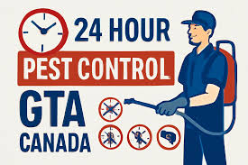 Pest Control Toronto Safe Trusted Home Experts