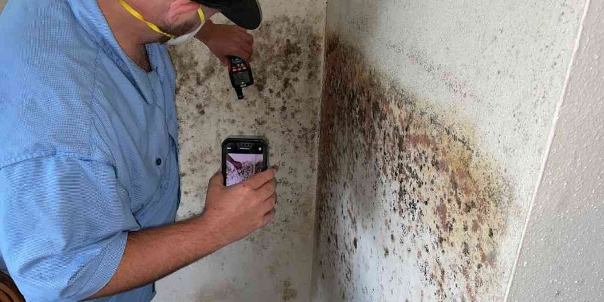 When to Call for Mold Inspection in Rochester NY
