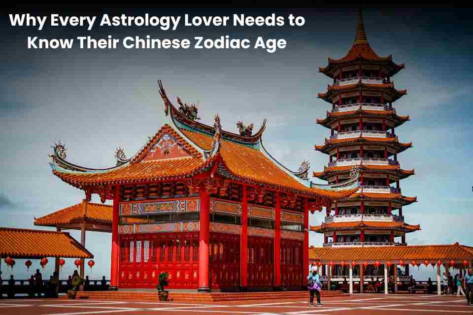 Chinese Age: The Key to Your True Zodiac Sign