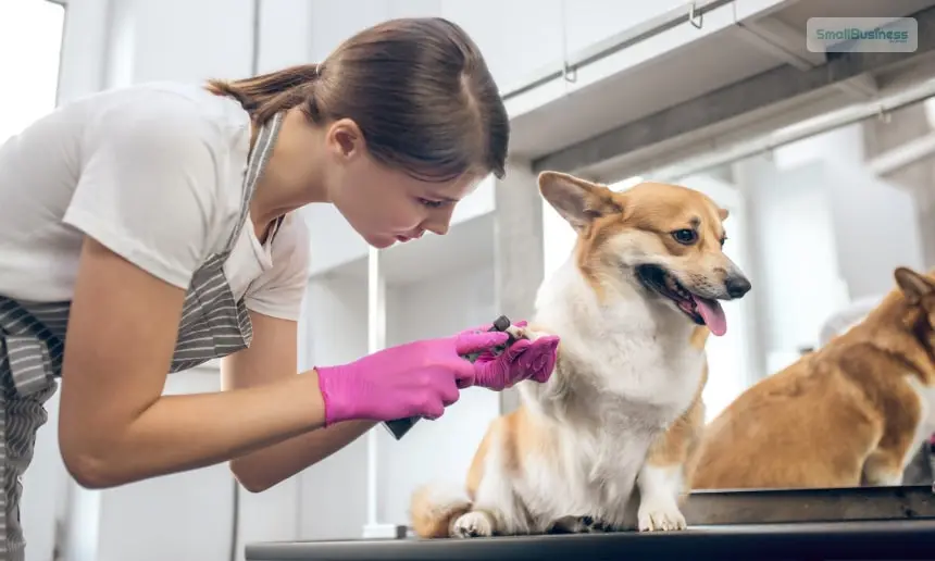 Grooming Salon Capacity Formula to Stop Empty Slots