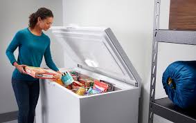 Deep Freezer benefits for homes, restaurants