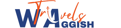 Waggish Travels | Flight Booking