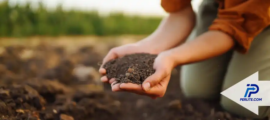 perlite.com