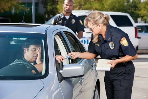 Complete Guide to Background Check Services
