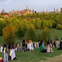 Is a Visit to Peckham Park in London Worth Your Time?