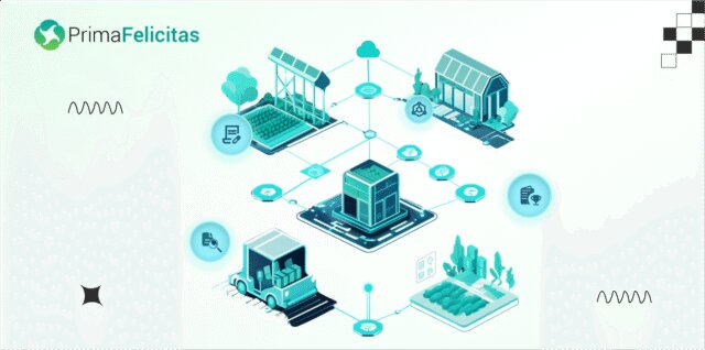 Why Your Business Needs a Blockchain Consulting Company