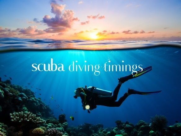 The Ultimate Guide to Scuba Diving Timings