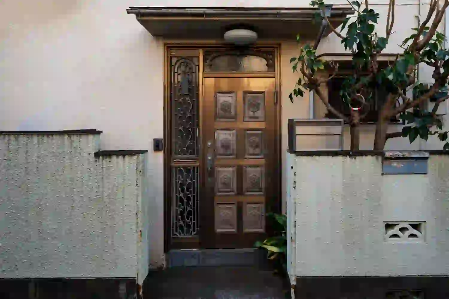 Modern Architectural Steel Doors in Tamilnadu Explained