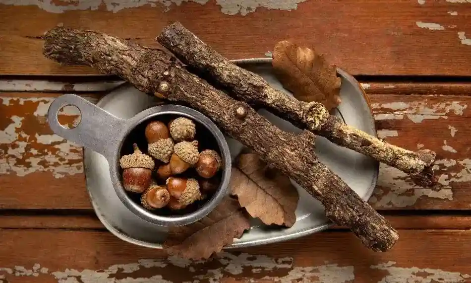 Licorice Extract Benefits & Uses | Extroil Naturals
