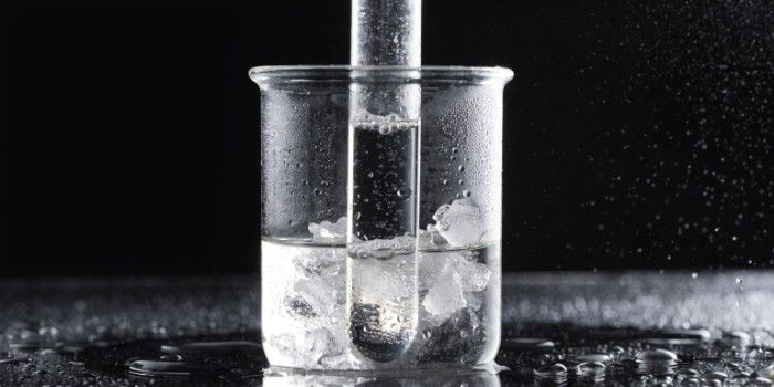 Cyclohexane Prices February 2026: Trend and Forecast