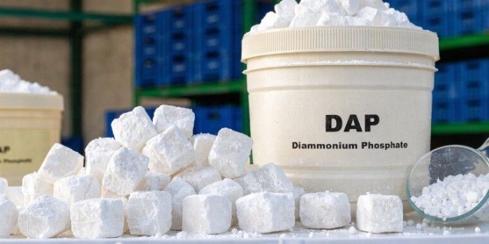 Diammonium Phosphate (DAP) Prices February 2026: Trend