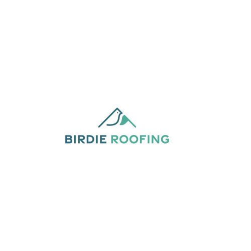 birdieroofing