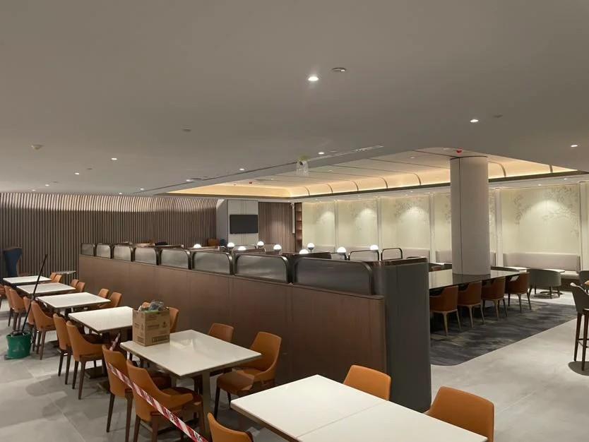 Seamless Acoustic Plaster: Performance & Design Guide