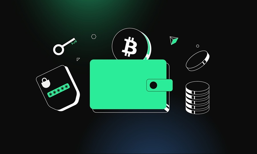 The Rise of Decentralized Identity Wallets in Web3
