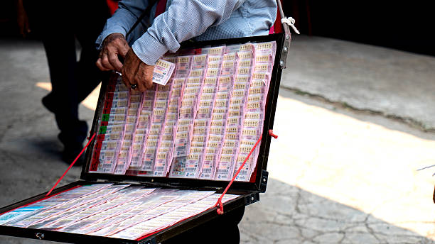 How Lottery Sambad is Shaping the Future of Digital