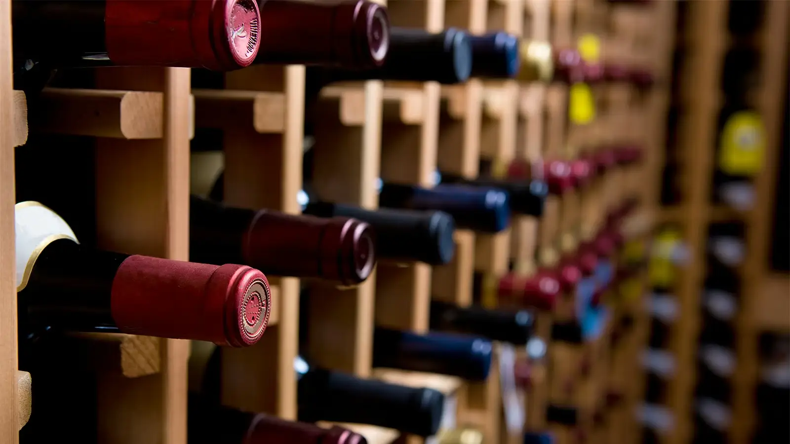 How to Build and Protect a Home Wine Collection for Food Pairing