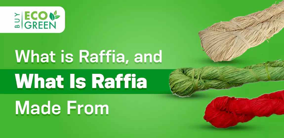 What Is Raffia and What Is It Made From