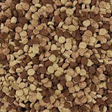 Order Dog Food Online:  Complete Guide for  Pet Parents