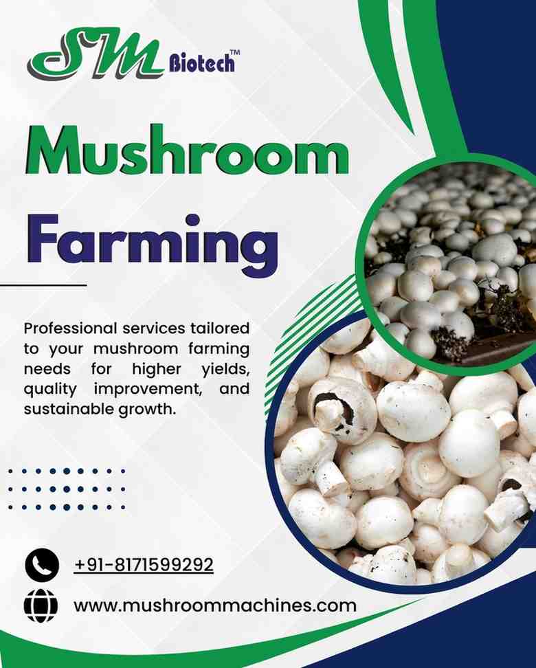 Profitable Mushroom Farming Business Guide