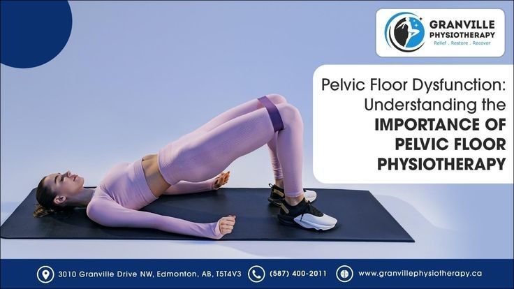 Gentle Support for Pelvic Health and Everyday Comfort