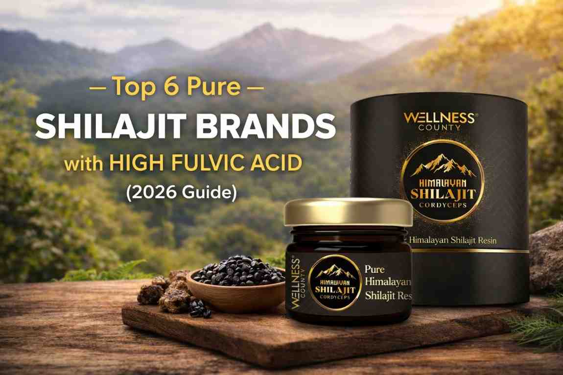 Top 6 Pure Shilajit Brands with High Fulvic Acid