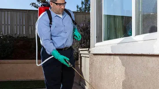 Commercial Pest Control in Peoria AZ for Businesses