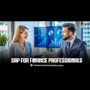 SAP FICO on the Cloud: Transitioning to Public