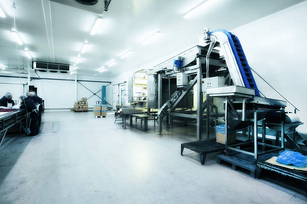 How to Design a Food Factory Layout That Actually Works