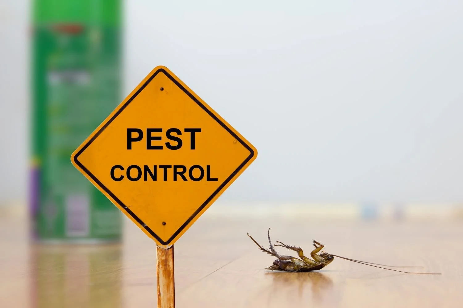 Professional Pest Control Keeps Homes Pest-Free
