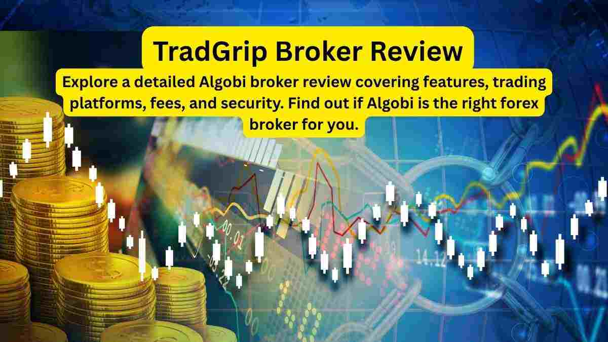 Beginner’s Guide to Trading with Algobi Broker