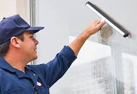 How Professional Cleaning Keeps Windows Looking Best