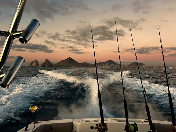 Deep Sea Fishing in Cabo: The Complete Guide